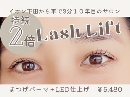 トランジットケイ(TRANSIT K)の写真