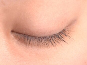 ネオリーブテラス 仙川店(Neolive terrace & Lavie EYELASH)/before☆閉じた目【仙川/調布】