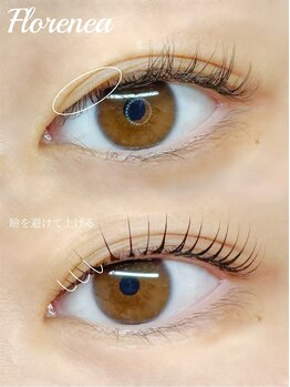 フロレネア(Florenea)/まつげパーマ