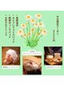 《平日限定》疲労解消入浴＋5月限定カミツレFP＋ドリンク★9,900円→8,500円