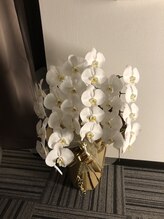 ルポ 神保町 水道橋店(repos)/