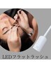 ご新規様LEDフラットラッシュ140本　初回オフ無料