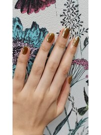 シンプルコース