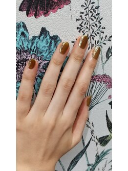 シンプルコース