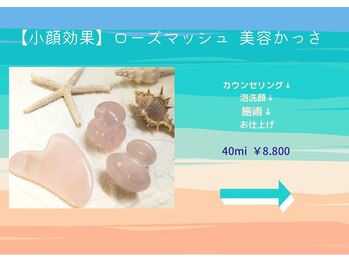 エヌスパ(NSPA)/１　ローズマッシュ&グアシャ 