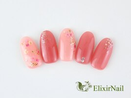 定額a シンプル/クーポン使用