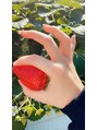 セレブレイル(CELEBRAIL) 秩父のいちご