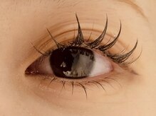 プラスエリマ 四日市(Plus Elima)/フラットラッシュ 四日市