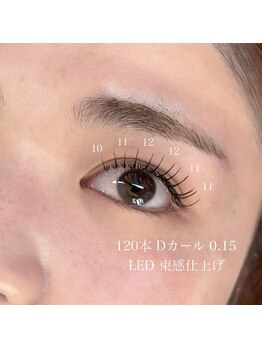 トータルビューティー(TOTAL BEAUTY)/フラットラッシュ120本