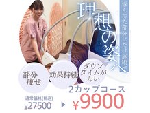 スポットスリム(SPOT SLIM)