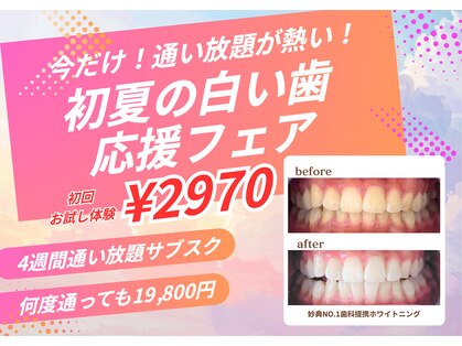 ホワイトニングビューティー 市川妙典店の写真