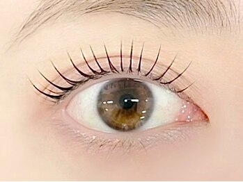 アリストウキョウ 旭川店(alice tokyo)/まつげパーマ/ラッシュリフト◎