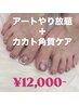 ご新規様【オーナーSHIORI指名】フットネイルアートフリー角質ケア※オフ込み