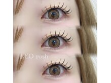 シュシュ バイ カリーナ(chou chou by Carina)/大人気LEDラッシュ★