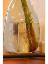 オン バイ ビーアイ 恵比寿(ON by BI)/