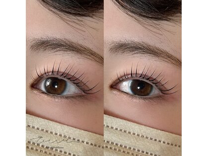 ヴィーヴ(vive)の写真