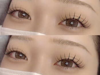 トコ(toco)/flat lash 120本