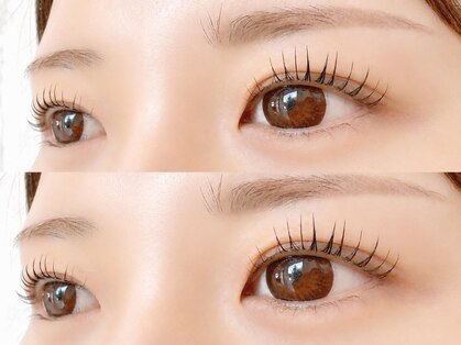 ダブリュー(W.)の写真