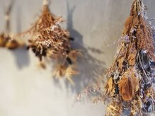 ニーム(NEEM)の雰囲気（【ヘアサロン×まつ毛パーマ】あなたの"綺麗"を叶える場所）