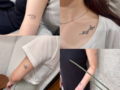 コダサンマルハチ(koda 308)の写真