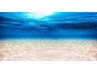 《海洋セラピーで深層部までデトックス！》タラソテラピー♪2回¥17600