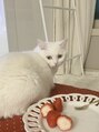 ソプラ 京都駅前店(sopra)&nbsp;実家で猫ちゃんを飼っていて猫や動物がとても大好きです♪