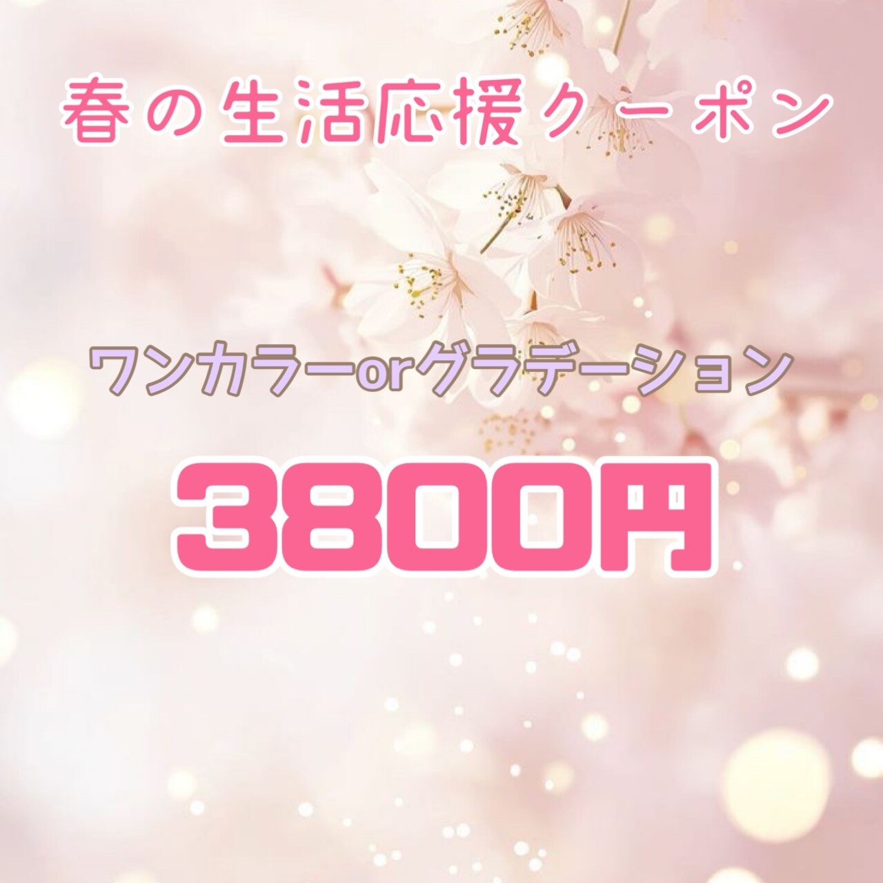 生活応援♪ワンカラーorグラデーション 3800円/新規ソフト.・当店オフ込み