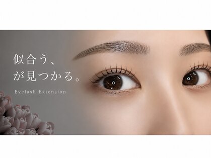 ヒビ(hibi)の写真