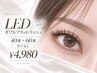 【再来】LEDダブルフラット40~60束付け足しのみ¥4980
