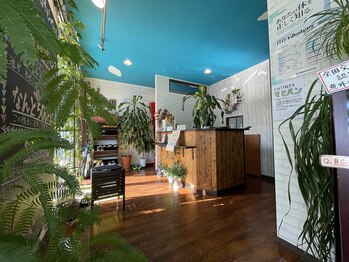 ヒトノワ(hitonowa)/【観葉植物が多い受付】