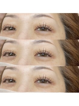 バディッシュ(Buddish)/パリエク☆