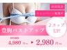 【初回限定】憧れの2カップUPを目指す!本格美胸バストアップ ¥2,980