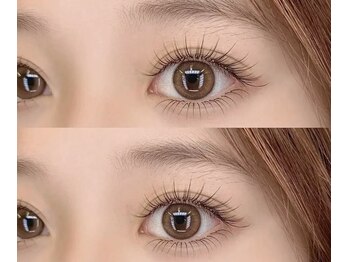 パンダアイラッシュ 上野(panda eyelash)/フラットラッシュ140本