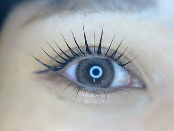 リ ボディ 札幌駅前店(Re Body)/ラッシュリフト　4,980円