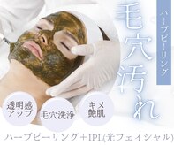 ベルティーク(BELTHEQUE)