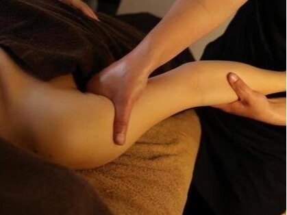 マダムシックの写真