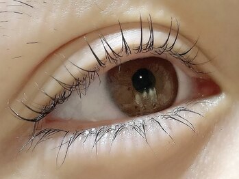 カラン 焼津店(CALIN)/上下ラスティングカール