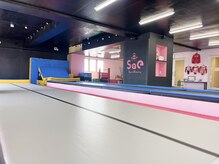 エスエーイースポーツアカデミー(SAE Sports Academy)