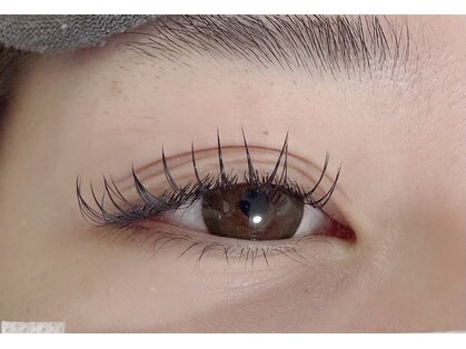 ルアナ(luana)の写真