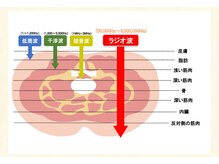 トコロティエ(tocorotie)の雰囲気(体の深部から温まりリラックスしながら全身コリ改善+ダイエット)