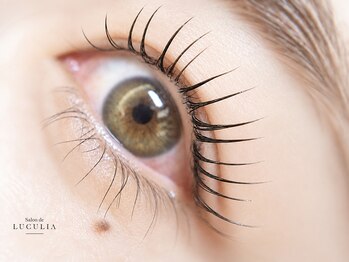 サロンドルクリア(Salon de LUCULIA)の写真/まつ毛悩みに合わせ仕上がり提案◎根本から立上げ、目の形の美しさを活かし、ぱっちり目元へ♪