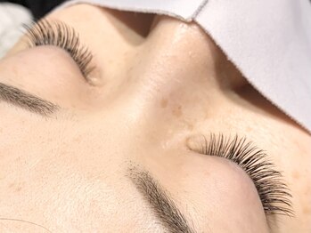 ネスト(Nest)/フラットラッシュ120本/Cカール