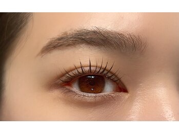 ジョリー(Jolie)/