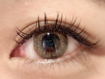 カラン 焼津店(CALIN)/フラットラッシュ140本