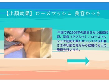 エヌスパ(NSPA)/3　ローズマッシュ&グアシャ