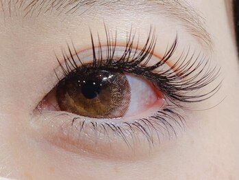 ザラボアングゥ(The Labo ungu)/