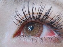 ザラボアングゥ(The Labo ungu)/