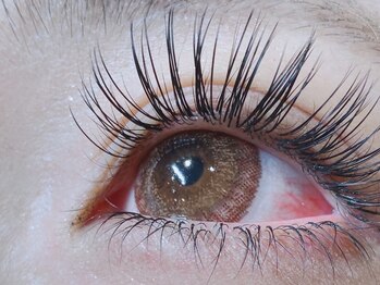 ザラボアングゥ(The Labo ungu)/