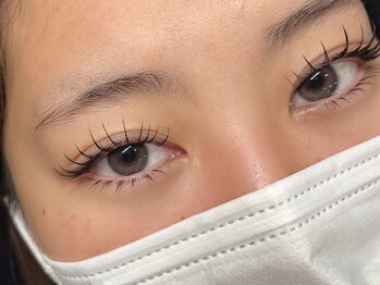 ハオルチア(Haworthia)/パリエク上下