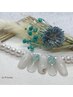 8月定額￥6,900コース